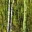 image11